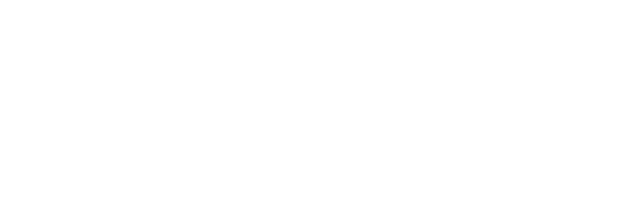 Fulvio Cristallini Photographer Logo